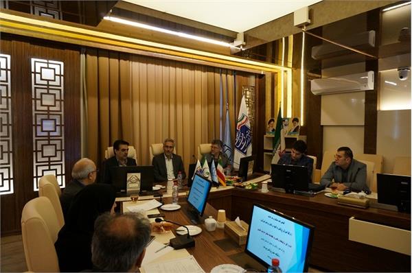 همکاری سه جانبه با هدف تولید محتوای دیجیتال در حوزه سلامت و پزشکی در استان خراسان جنوبی
